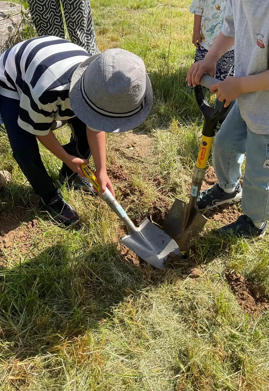 Two boys digging together with small shovels in the grass