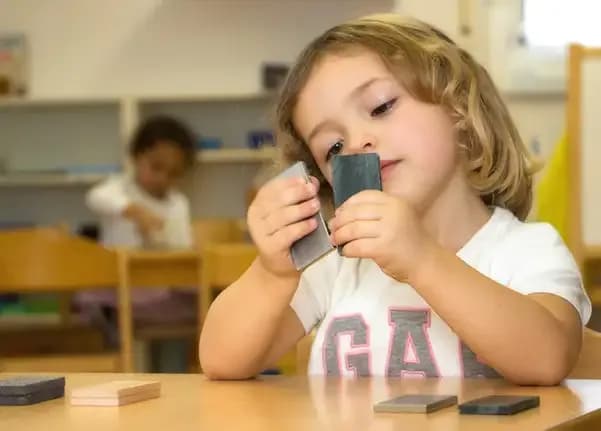 A Brief History of TIMS: Over 50 Years of International Montessori Education